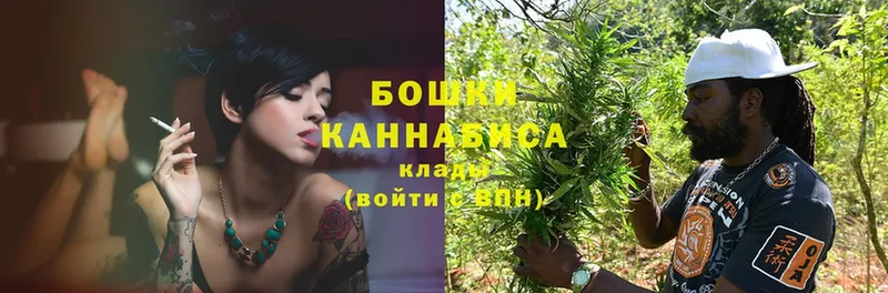 Шишки марихуана SATIVA & INDICA  МЕГА сайт  Каменногорск  где купить  